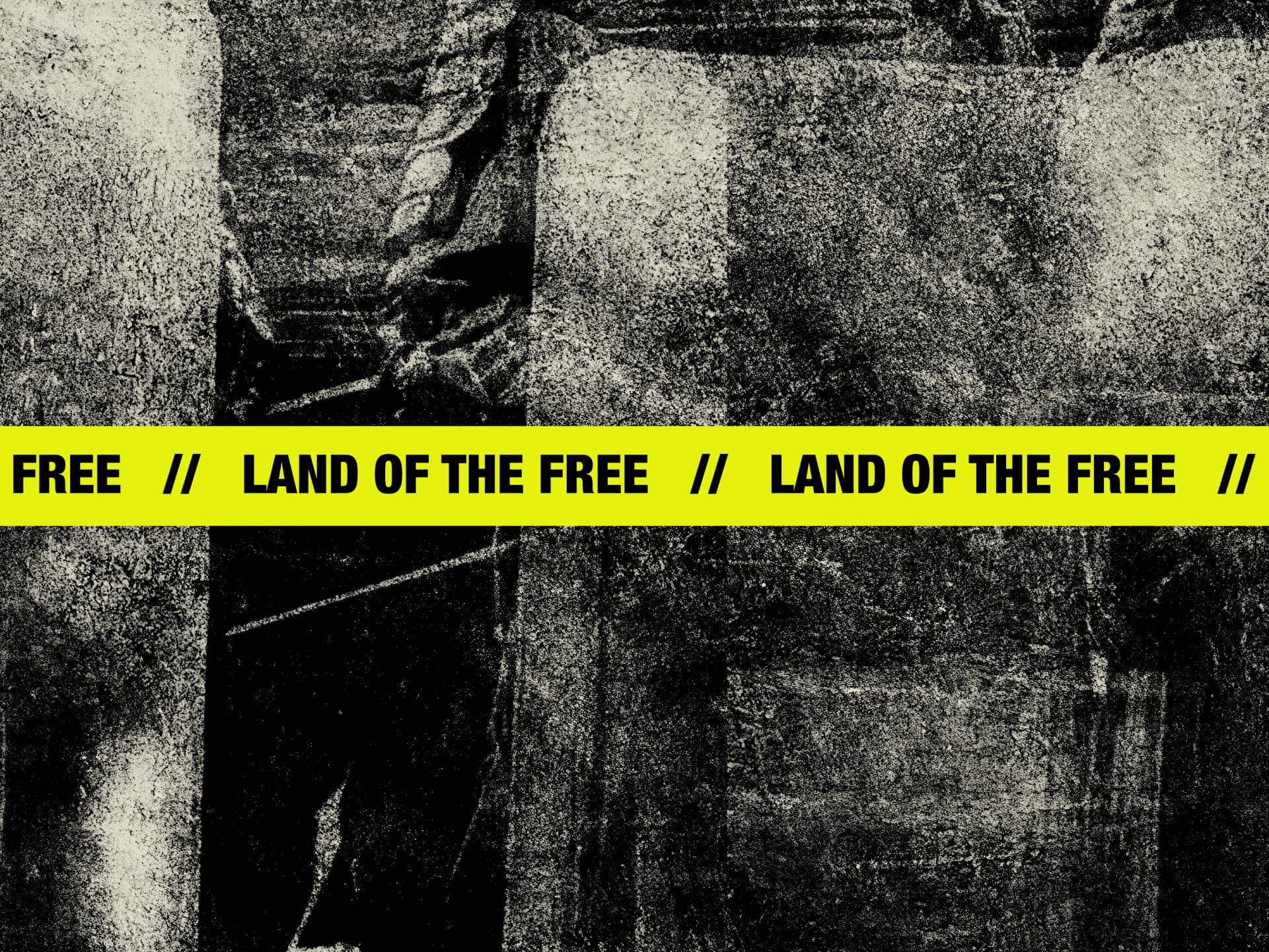 Fuerzas de choque alieadas